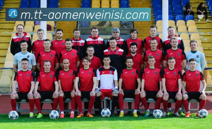 威尼斯人官网APP 封面图